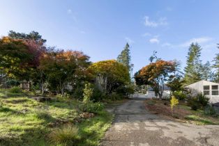 Single Family Residence,  Timber Ridge road, Sea Ranch, CA 95497 - 6