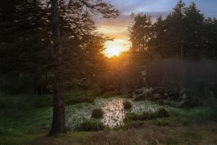 Single Family Residence,  Timber Ridge road, Sea Ranch, CA 95497 - 58