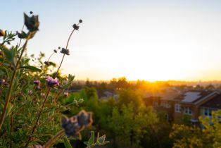 Townhouse,  Jade street, Petaluma, CA 94952 - 51