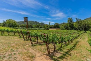 Single Family Residence, Gordon Valley road, Napa, CA 94558 - 34