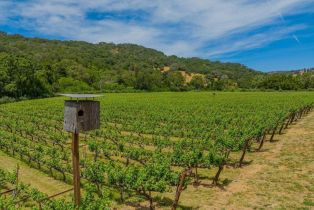 Single Family Residence, Gordon Valley road, Napa, CA 94558 - 33