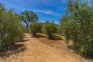 Single Family Residence, Gordon Valley road, Napa, CA 94558 - 36