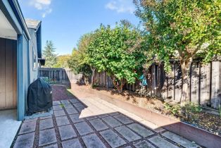 Single Family Residence,  Orchard street, Healdsburg, CA 95448 - 12