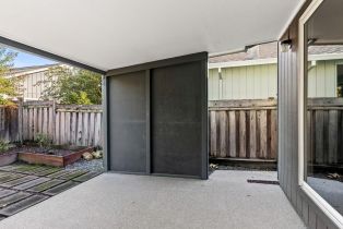 Single Family Residence,  Orchard street, Healdsburg, CA 95448 - 10