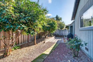 Single Family Residence,  Orchard street, Healdsburg, CA 95448 - 9