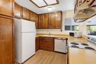 Single Family Residence,  Orchard street, Healdsburg, CA 95448 - 19