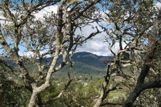 Townhouse,  Oak Forest lane, Santa Rosa, CA 95409 - 12