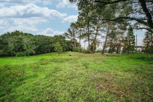 Single Family Residence,  Frei road, Sebastopol, CA 95472 - 41