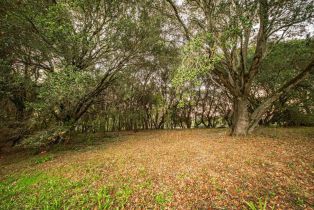Single Family Residence,  Frei road, Sebastopol, CA 95472 - 43