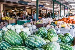 Single Family Residence,  Frei road, Sebastopol, CA 95472 - 49