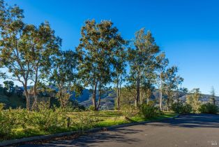 Residential Lot,  Poppy lane, Napa, CA 94558 - 22