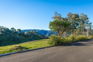 Residential Lot,  Poppy lane, Napa, CA 94558 - 32
