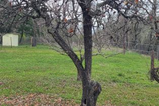 Residential Income,  White Cottage road, Angwin, CA 94508 - 9