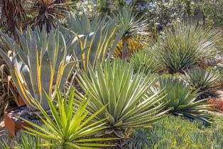 Single Family Residence,  Rincon Ridge drive, Santa Rosa, CA 95404 - 36