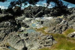 Single Family Residence,  Dune Drift Close none, Sea Ranch, CA 95497 - 39