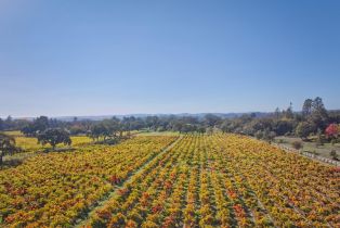 Single Family Residence,  Willowside road, Santa Rosa, CA 95401 - 44