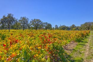Single Family Residence,  Willowside road, Santa Rosa, CA 95401 - 39