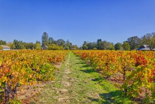 Single Family Residence,  Willowside road, Santa Rosa, CA 95401 - 37