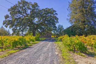 Single Family Residence,  Willowside road, Santa Rosa, CA 95401 - 6
