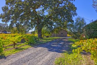 Single Family Residence,  Willowside road, Santa Rosa, CA 95401 - 22