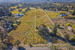 Single Family Residence,  Willowside road, Santa Rosa, CA 95401 - 46