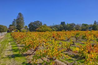 Single Family Residence,  Willowside road, Santa Rosa, CA 95401 - 41