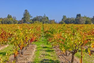 Single Family Residence,  Willowside road, Santa Rosa, CA 95401 - 40