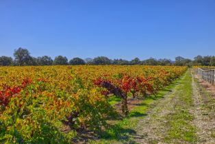 Single Family Residence,  Willowside road, Santa Rosa, CA 95401 - 42