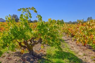 Single Family Residence,  Willowside road, Santa Rosa, CA 95401 - 4