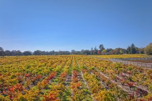 Single Family Residence,  Willowside road, Santa Rosa, CA 95401 - 43