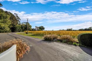 Single Family Residence,  Las Amigas road, Napa, CA 94559 - 40