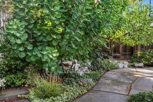 Single Family Residence,  Cleveland avenue, Sebastopol, CA 95472 - 54