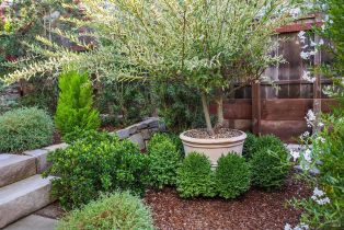 Single Family Residence,  Cleveland avenue, Sebastopol, CA 95472 - 57