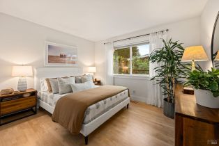 Single Family Residence,  Cleveland avenue, Sebastopol, CA 95472 - 19