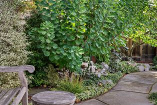 Single Family Residence,  Cleveland avenue, Sebastopol, CA 95472 - 53