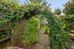 Single Family Residence,  Cleveland avenue, Sebastopol, CA 95472 - 31