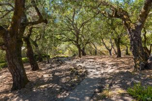 Single Family Residence,  White Oak drive, Santa Rosa, CA 95409 - 42