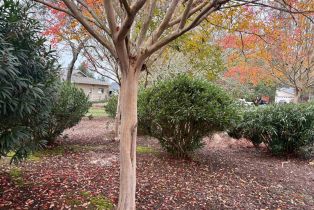 Single Family Residence, Oak Vista lane, Santa Rosa, CA 95409 - 22