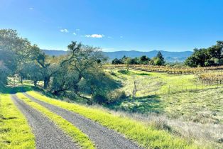 Residential Acreage,  Los Amigos road, Healdsburg, CA 95448 - 32
