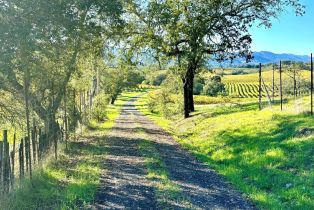 Residential Acreage,  Los Amigos road, Healdsburg, CA 95448 - 33