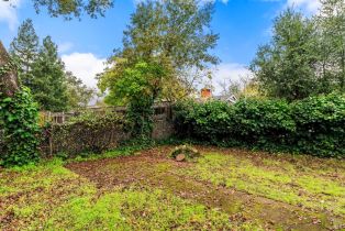 Single Family Residence,  Center street, Sonoma, CA 95476 - 14