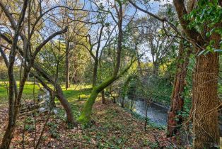 2 Houses on Lot,  Steiner court, Santa Rosa, CA 95404 - 13