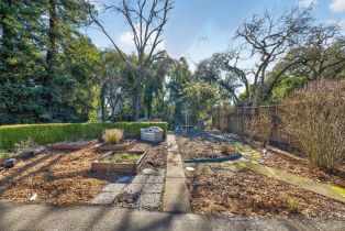 2 Houses on Lot,  Steiner court, Santa Rosa, CA 95404 - 30