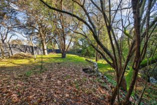 2 Houses on Lot,  Steiner court, Santa Rosa, CA 95404 - 53