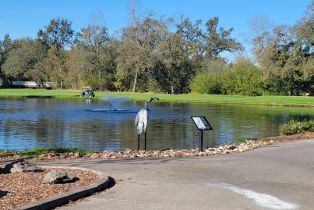 Single Family Residence,  Leno drive, Windsor, CA 95492 - 43