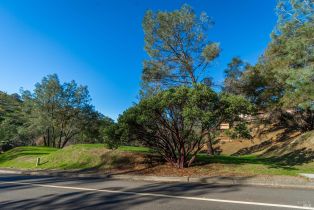 Residential Lot,  Steele Canyon road, Napa, CA 94558 - 4