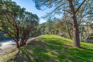 Residential Lot,  Steele Canyon road, Napa, CA 94558 - 5