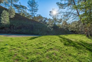 Residential Lot,  Steele Canyon road, Napa, CA 94558 - 7