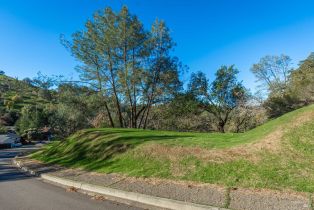 Residential Lot,  Steele Canyon road, Napa, CA 94558 - 4