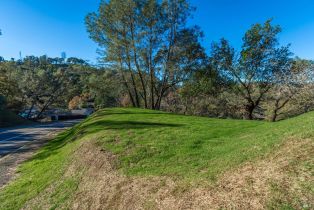 Residential Lot,  Steele Canyon road, Napa, CA 94558 - 8